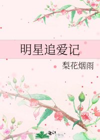 明星追愛記